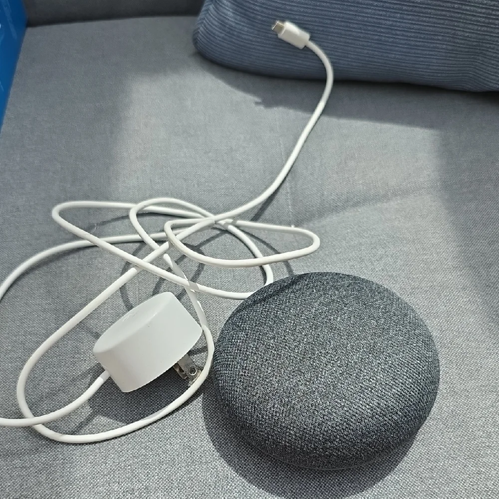 Google Nest Mini in Charcoal with White Cable